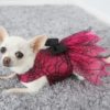 Pink and black lace halloween dog dress