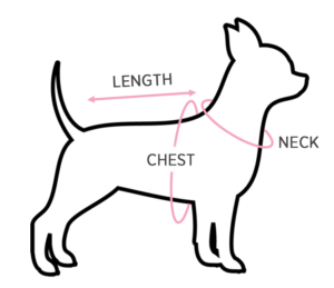 how to measure your dog