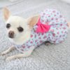dog dress in pale blue and pink floral print