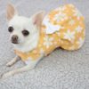 millie yellow summer dog dress